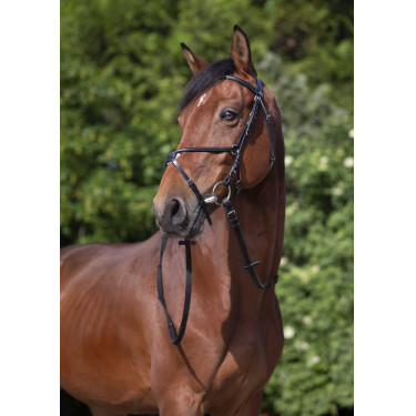 Bridão Riding World Cavesse cruzada Preto