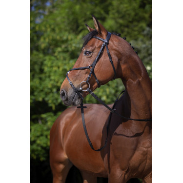 Bridão Riding World Cavesse cruzada Preto