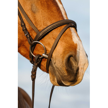 Bridão Riding World focinheira combinada dupla Havana Castanho