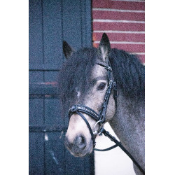 Bridon Pénélope Eden Preto