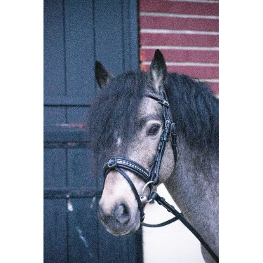 Bridon Pénélope Eden Preto