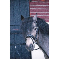 Bridon Pénélope Eden Preto Bridon Pénélope Eden Preto