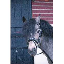 Bridon Pénélope Eden Preto