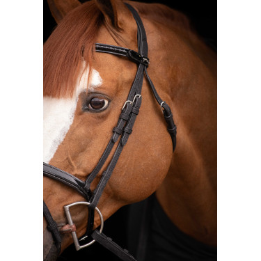 Birdon Oxford Performance Pénélope Preto Birdon Oxford Performance Pénélope Preto