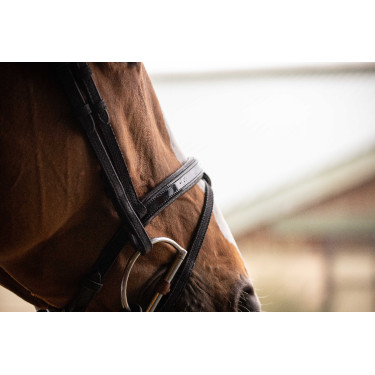 Birdon Oxford Performance Pénélope Preto Birdon Oxford Performance Pénélope Preto