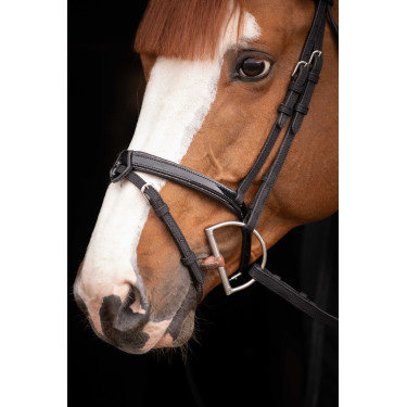 Birdon Oxford Performance Pénélope Preto Birdon Oxford Performance Pénélope Preto