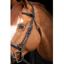 Birdon Oxford Performance Pénélope Preto Birdon Oxford Performance Pénélope Preto