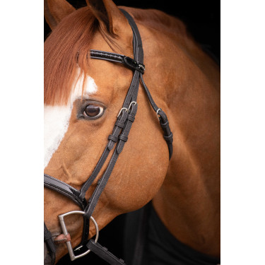 Birdon Oxford Performance Pénélope Preto Birdon Oxford Performance Pénélope Preto