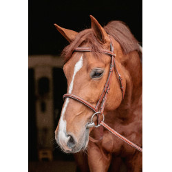 Bridão Hunter US Pénélope Avelã / castanho-claro