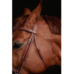 Bridão Hunter US Pénélope Avelã / castanho-claro