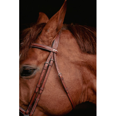 Bridão Hunter US Pénélope Avelã / castanho-claro