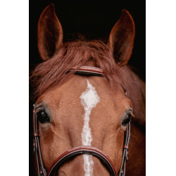 Bridão Hunter US Pénélope Avelã / castanho-claro