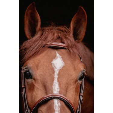 Bridão Hunter US Pénélope Avelã / castanho-claro