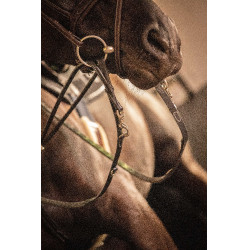 Rendas Pénélope Howlett couro Preto