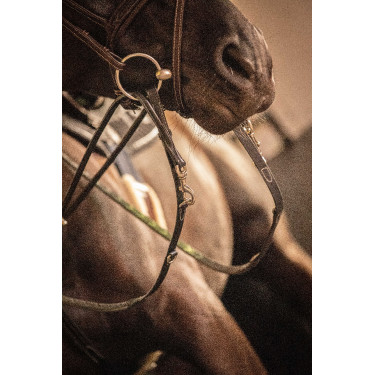 Rendas Pénélope Howlett couro Preto