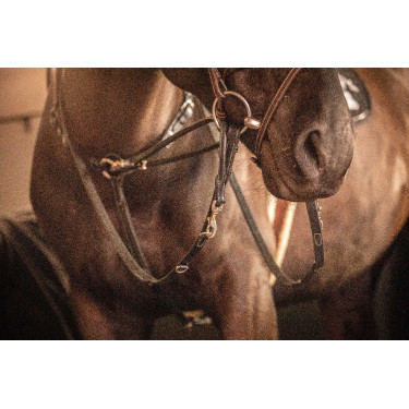 Rendas Pénélope Howlett couro Preto