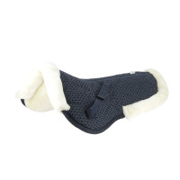 Amortecedor Equithème Pro air Preto