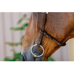 Bridon Freedom Norton Havana Castanho