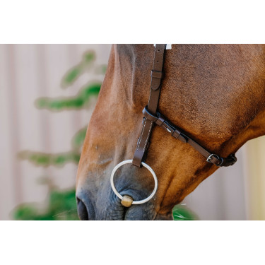 Bridon Freedom Norton Havana Castanho