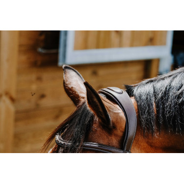 Bridon Freedom Norton Havana Castanho