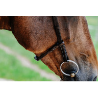 Bridon Freedom Norton Preto Bridon Freedom Norton Preto