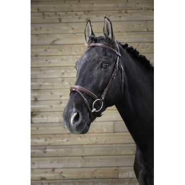 Bridon Norton Pro Fin Havana Castanho