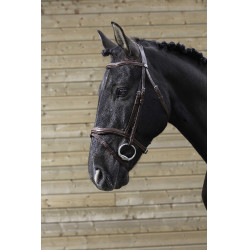 Bridão Norton Pro Recortado Havana Castanho Bridão Norton Pro Recortado Havana Castanho