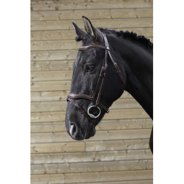 Bridão Norton Pro Recortado Havana Castanho Bridão Norton Pro Recortado Havana Castanho