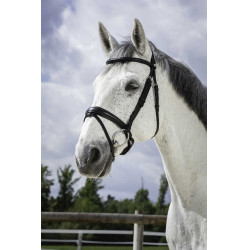 Bridon Norton Pro Soft Preto Bridon Norton Pro Soft Preto