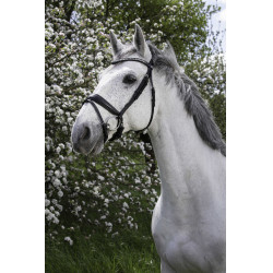 Bridon Norton Pro Strass Preto Bridon Norton Pro Strass Preto