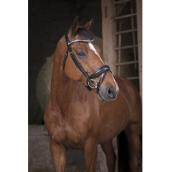 Bridon Norton Pro Strass Preto Bridon Norton Pro Strass Preto