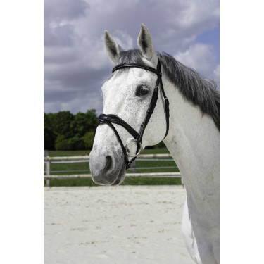 Bridon Norton Pro Vague Preto