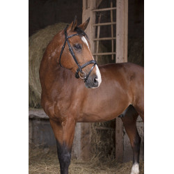 Bridon Norton Pro Vague Preto