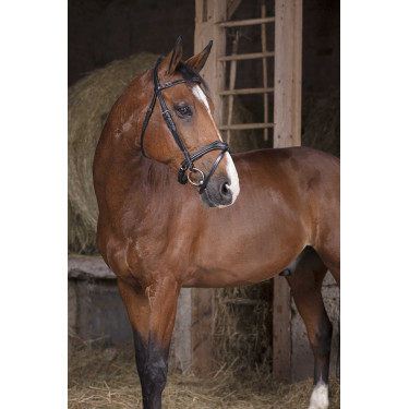 Bridon Norton Pro Vague Preto