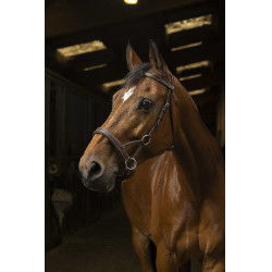 Side-pull Norton Pro Confort Havana Castanho