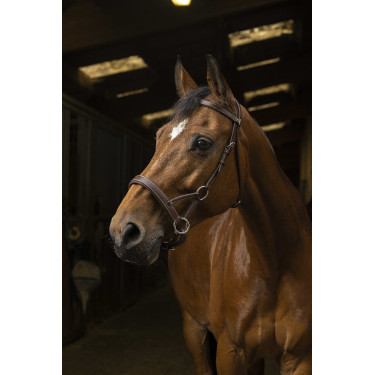 Side-pull Norton Pro Confort Havana Castanho