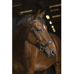 Side-pull Norton Pro Confort Preto