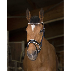 Bridon Norton Pro Bella Preto