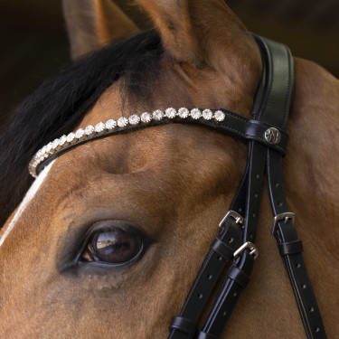 Bridon Norton Pro Bella Preto