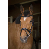 Bridon Norton Pro Rock Havana Castanho