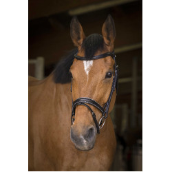 Bridon Norton Pro Rock Preto Bridon Norton Pro Rock Preto