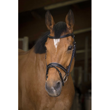 Bridon Norton Pro Rock Preto Bridon Norton Pro Rock Preto