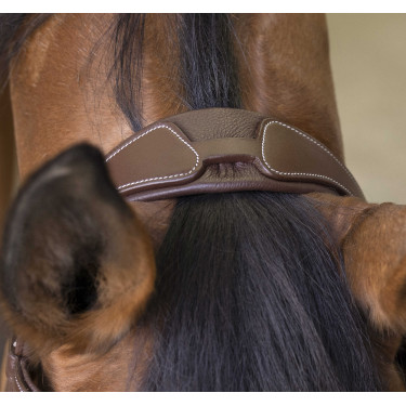 Bridon Norton Pro Rock Havana Castanho Bridon Norton Pro Rock Havana Castanho