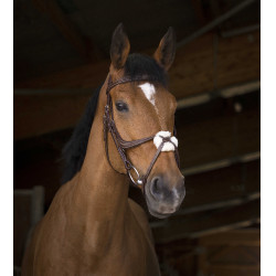 Bridão Norton Pro com focinheira cruzada Havana Castanho