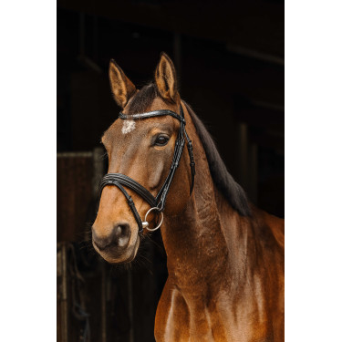 Bridon Norton Pro Galon Preto