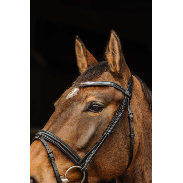 Bridon Norton Pro Galon Preto