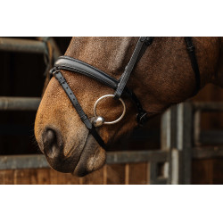 Bridon Norton Pro Dark Preto