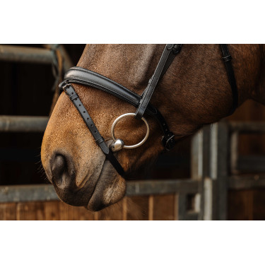 Bridon Norton Pro Dark Preto