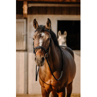 Bridão Eric Thomas Work Preto