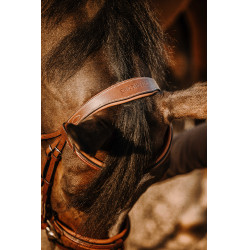 Bridão Eric Thomas Work Havana Castanho